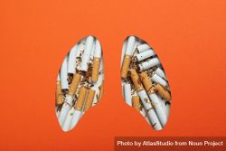 Lung shape cut out of orange paper with cigarettes 0gV9lb