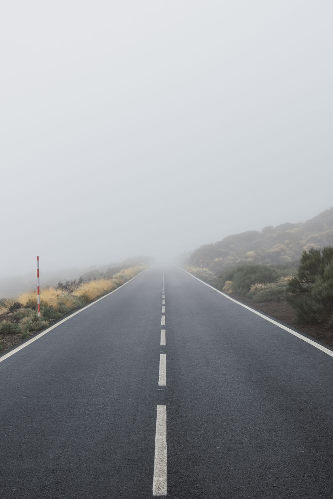 Empty road through woodland in overcast day