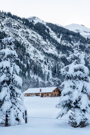 Winter scenery with snow-covered trees and cabin in Bavarian Alps, Germany