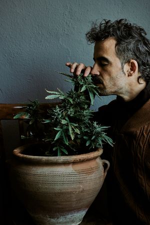 a young brown-haired man smelling his marijuana plant at home