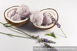 Two coconut shells with purple ice cream and pieces of lavender flowers 41zBNb
