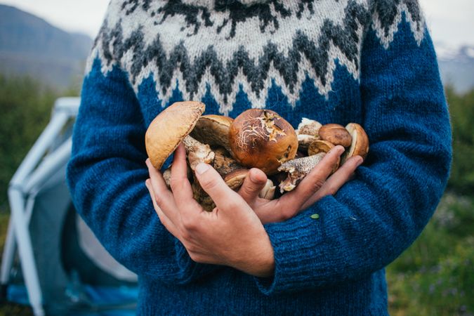 Cropped shot of man with pile of foraged mushrooms