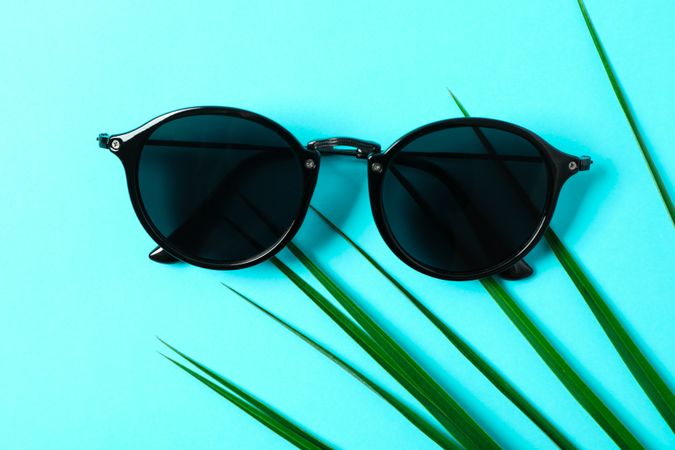 Sunglasses with palm leaf on color background, closeup and space for text. Summer vacation backdrop