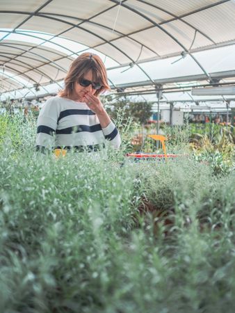 Thoughtful female choosing flowers on market