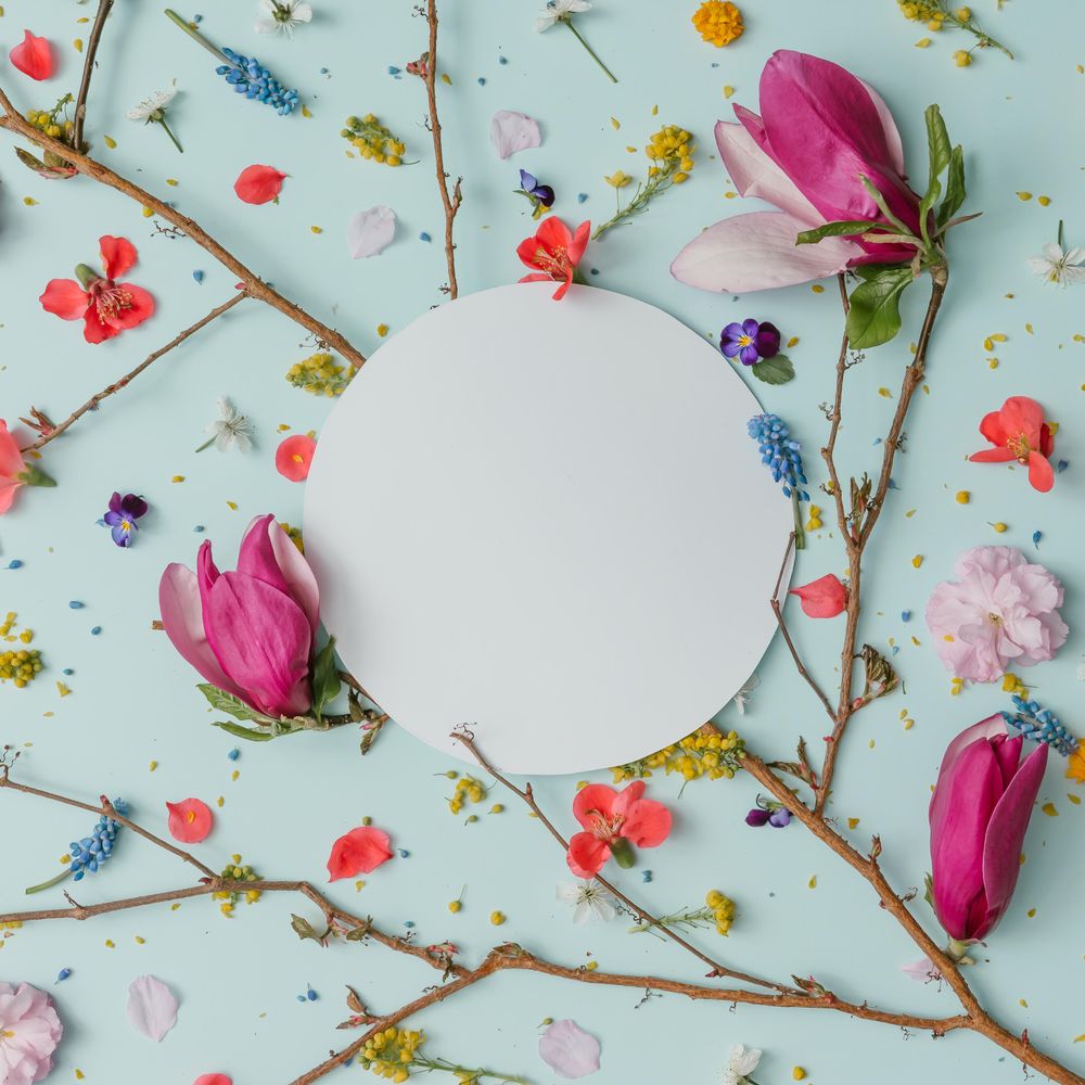 Pattern made of colorful spring flowers on blue background
