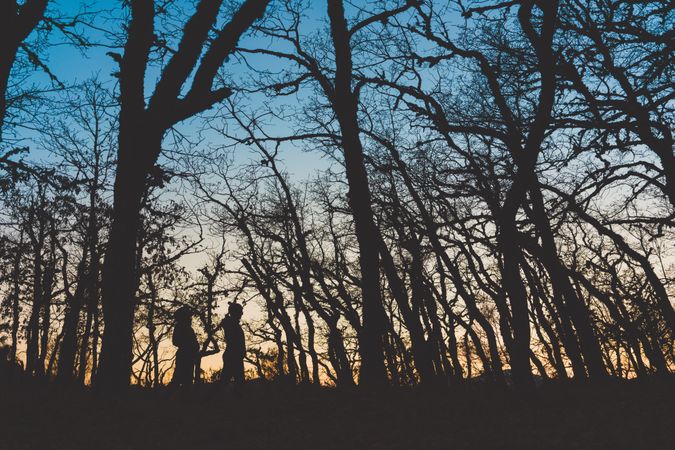 People walking in autumn forest at sunset