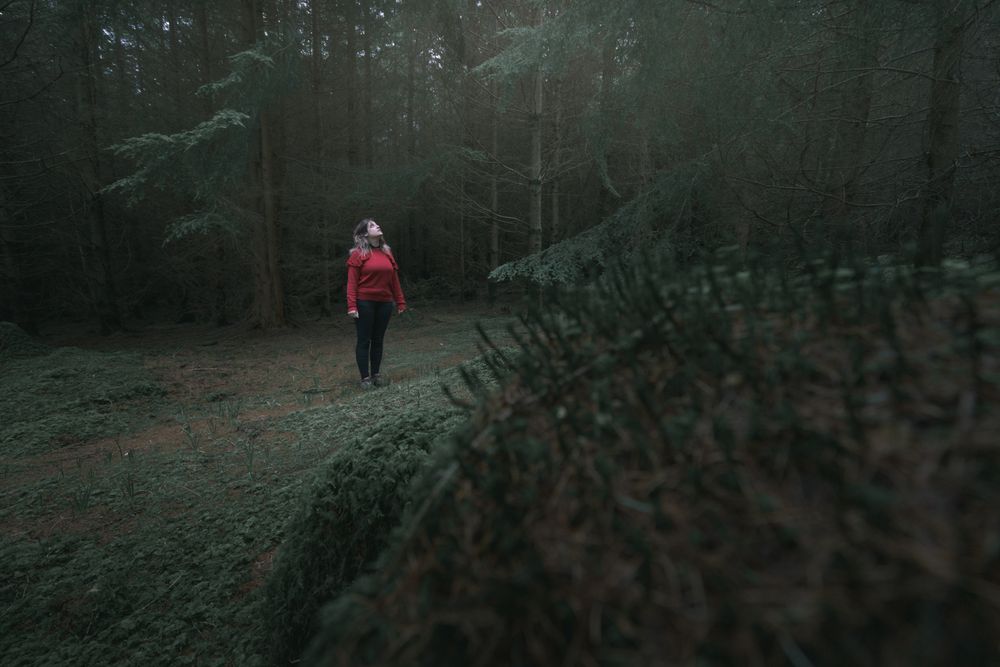 Tourist walking in forest park