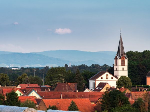 Landscape of Alsace. The Vosges mountains, green meadows
