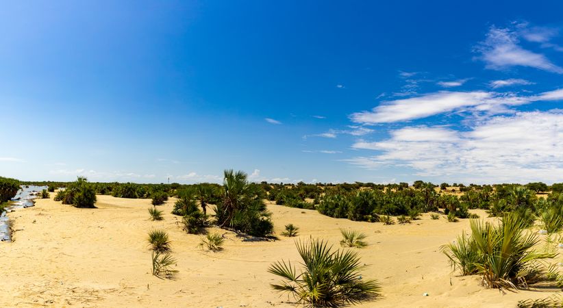 Lake Turkana Eliye Springs Beach Lodwar Landscapes Waterscape