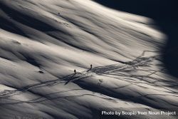 Grayscale photo of two people skiing on snow 48nOv0