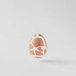 Easter egg with shattered or broken egg shell