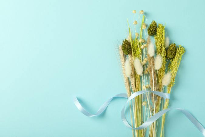 Dried flower bouquet with ribbon in line on blue background with copy space