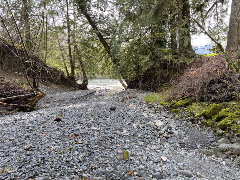 Dry creek bed stone pathway to main river surrounded by woods
