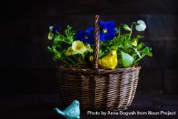 Basket of spring flowers 5r9922