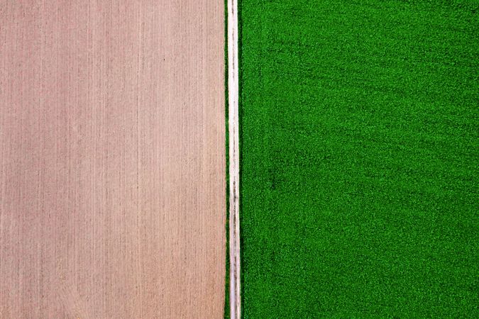 Agricultural fields and single countryside road, drone point of view
