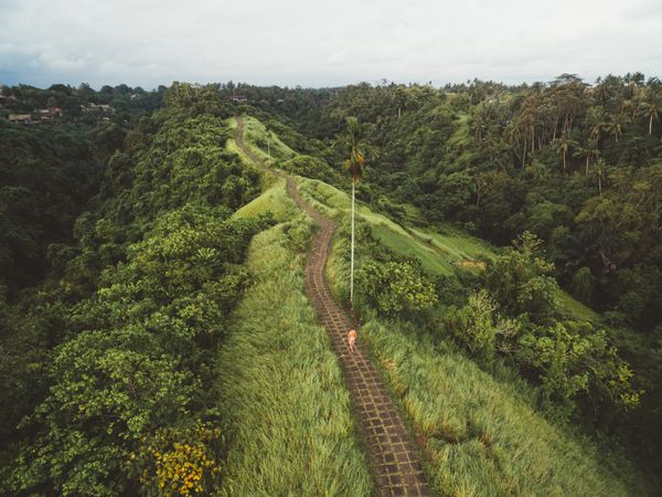 Traveler on paved roadway in tropical mountains