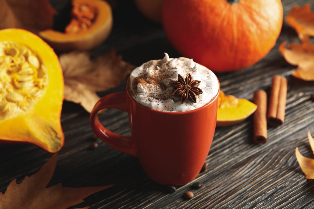 Composition with cup of pumpkin latte, cinnamon and pumpkin on wooden background