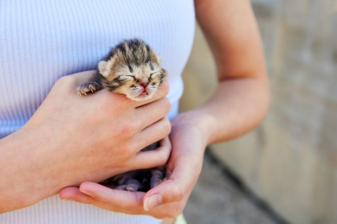 A person holds a newborn kitten in her arms.
