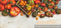 Assortment of different tomatoes, large to small and green to red, wide composition with copy space 48Mrqb