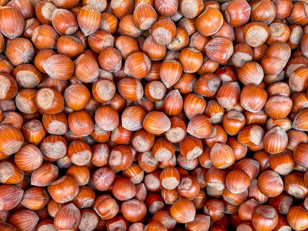 Hazelnuts in produce market