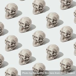 Row of skulls on light  background 5nkyl4