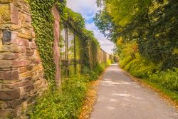 Path between autumnal forest and stone wall