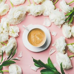 Spring flowers and morning latte over pink background