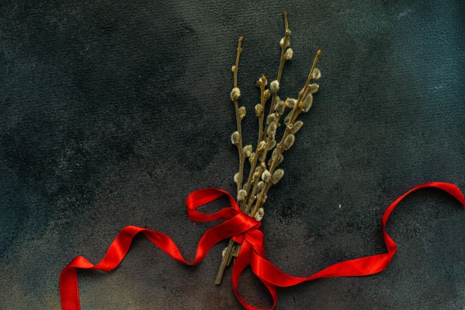 Pussy willow wrapped in red ribbon on grey table