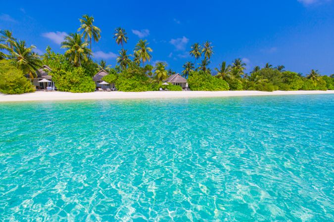 Beach front in the Maldives with clear blue water