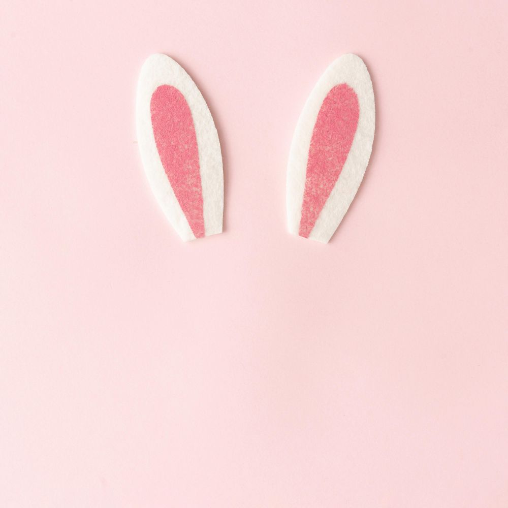 Bunny rabbit ears on pastel pink background