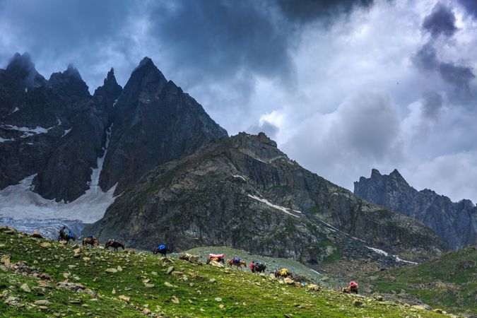 Herd of donkeys on hill and rocky mountains during daytime