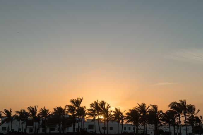 Sun rising over houses and palms
