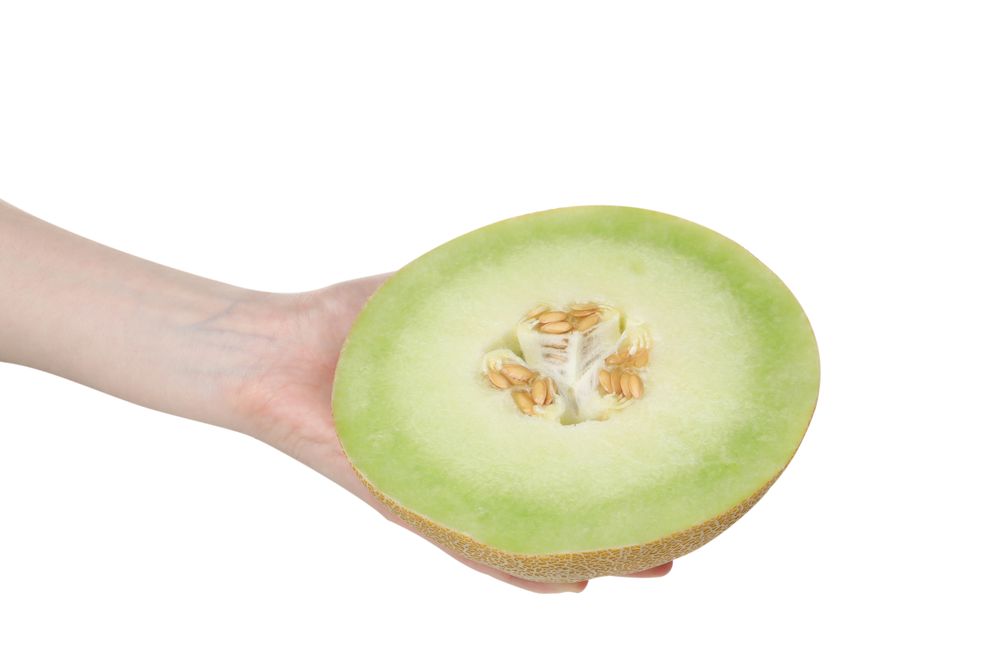 A slice of fresh melon, isolated on plain background