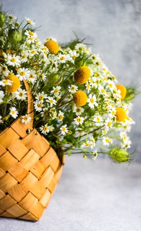 Close up of basket of summer flowers