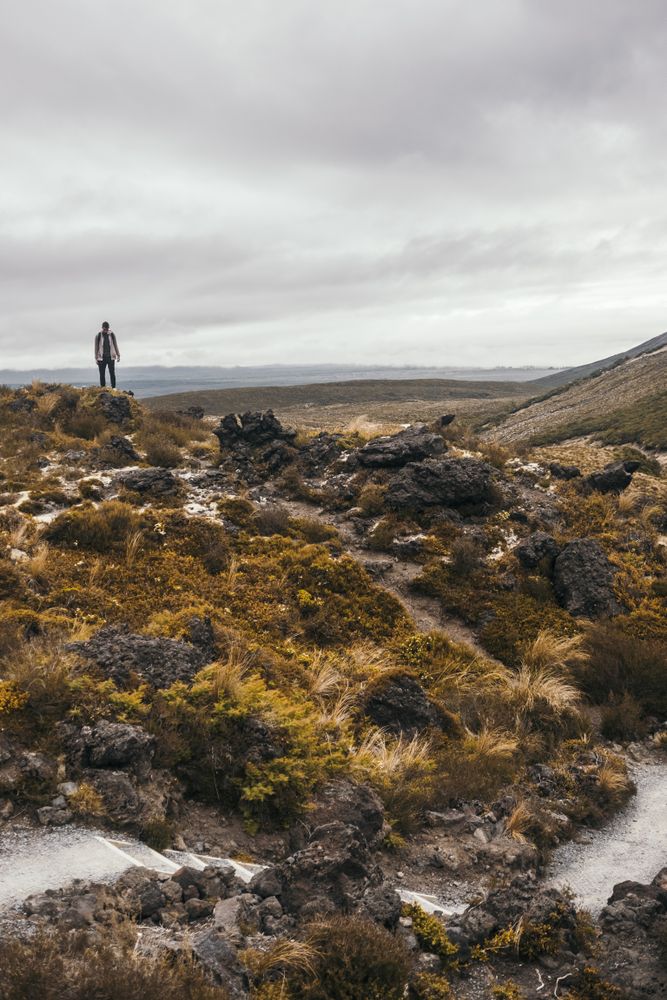 Tourist walking amid cliffs at New Zealand