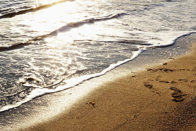 wet sandy shore on sunny day in beach