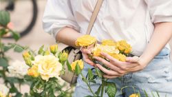 Yellow Chinese rose in a woman's hands. Background flowers