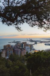 View of city and sea from hill