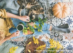 Woman holding mug, with cat on blanket sitting on colorfully tiled balcony with fall leaves 5pEKO4