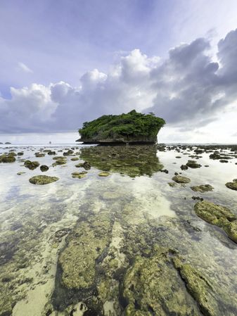 Big Reef Near Coastline