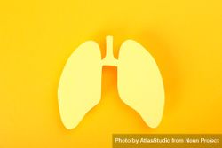 Yellow background with lungs 0PrM74