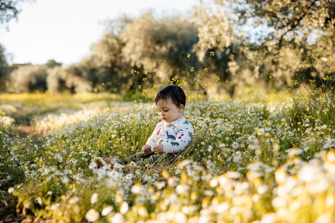 Cute toddler sitting in the daisies
