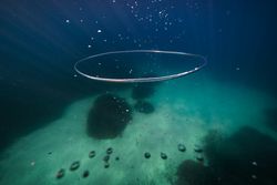 Vortex ring in clear water of deep ocean in daylight
