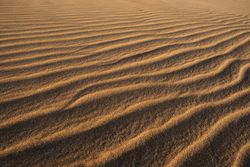 Beautiful sand waves on beach