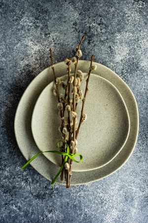 Easter concept with branch on ceramic plates