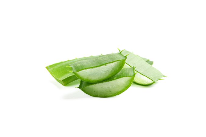 Aloe vera slices isolated on studio background. Herbal medicine