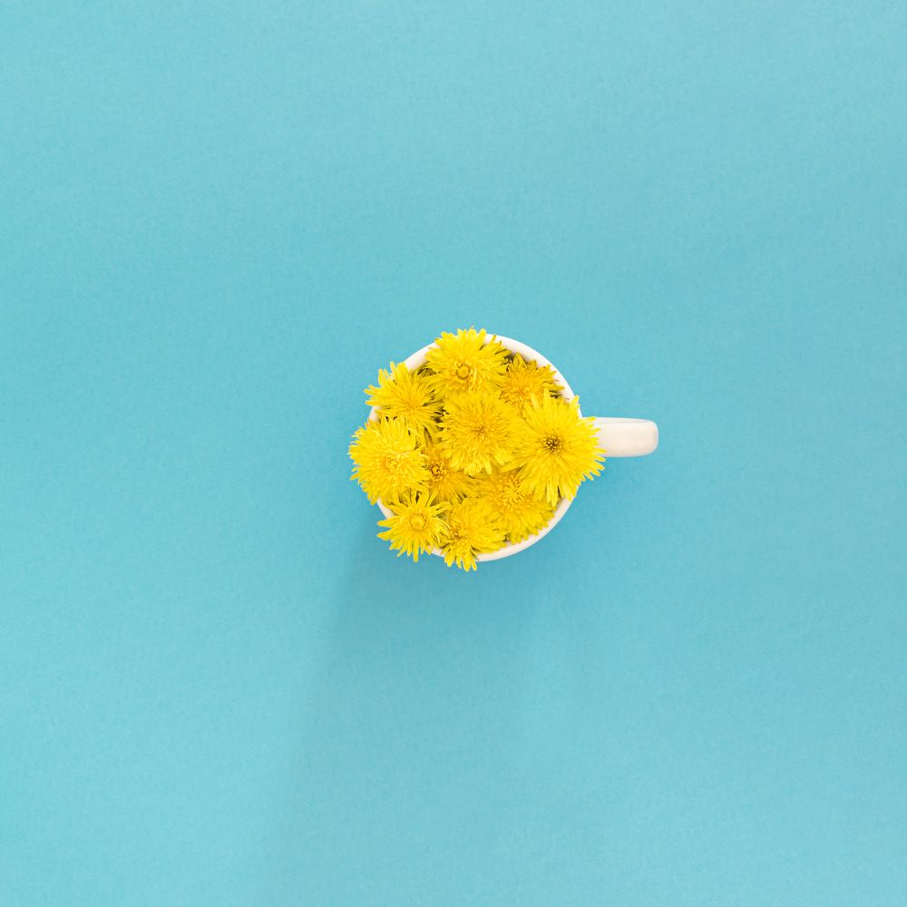 Mug with yellow flowers in water