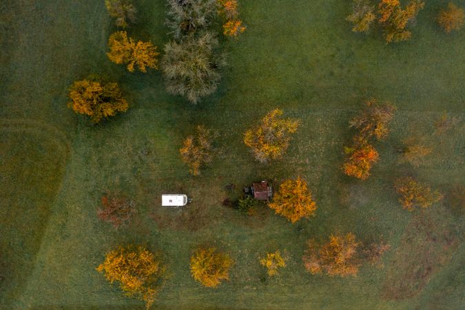 Drone shot, directly above, with an autumn orchard on a cold morning in October