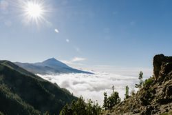 Hills covered with forest in sunny day