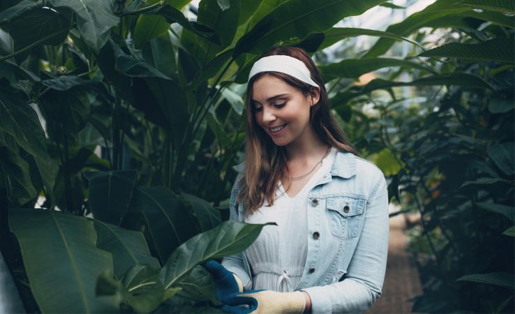 Beautiful young woman working in greenhouse